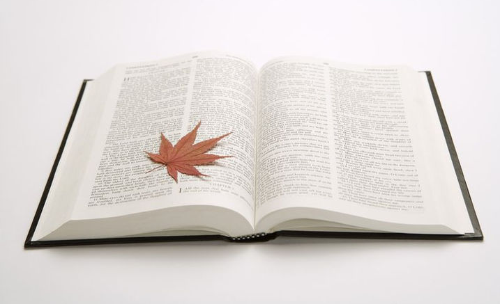 不可忽略的翻譯細節(jié)